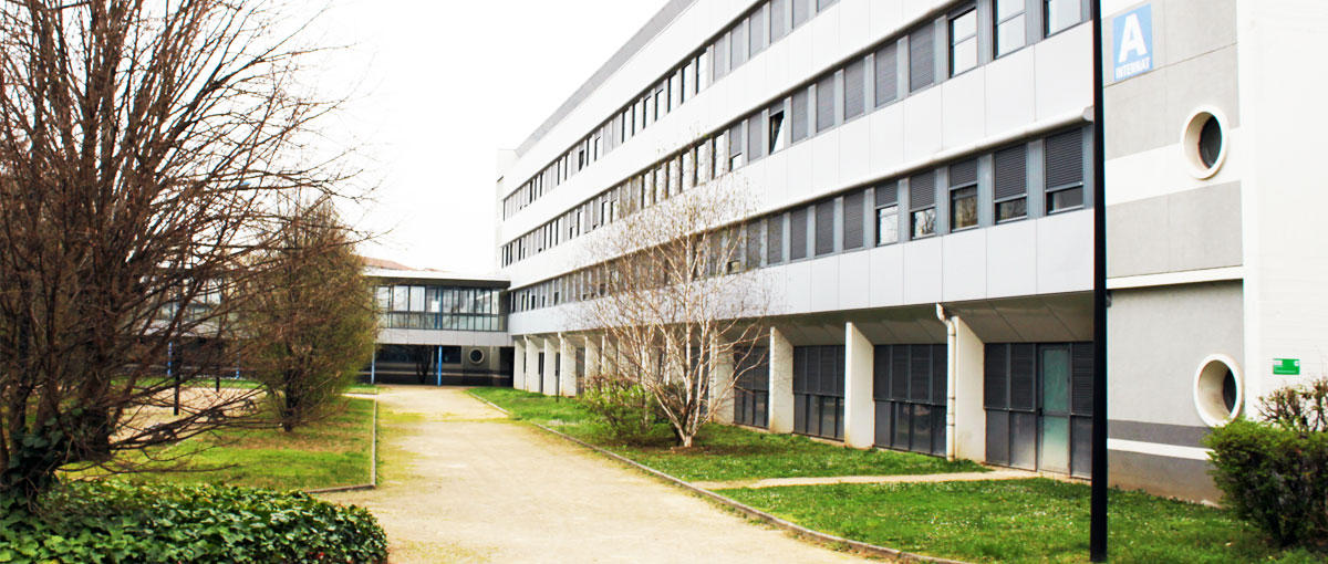 Accueil